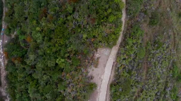 Människor Går Med Hundar Naturpark Bogot Colombia Utsikt Från San — Stockvideo