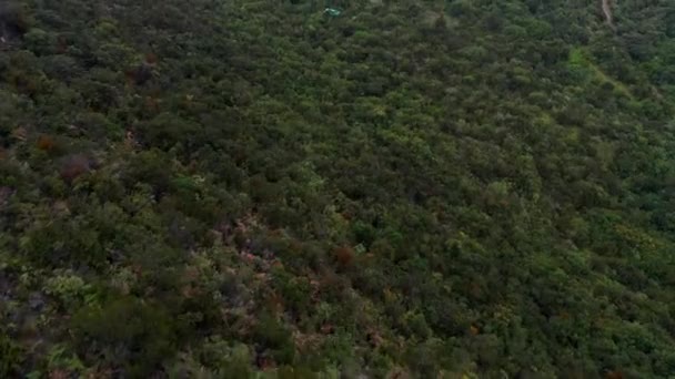 自然公園シェルター ボゴタ サンクリストバル25からの眺め — ストック動画