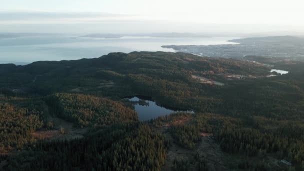 Fågelperspektiv Skog Och Baklidammen Sjön Med Trondheim City Och Havsutsikt — Stockvideo