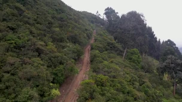 Camino Parque Natural Bogotá Colombia Vista Desde San Cristóbal — Vídeos de Stock