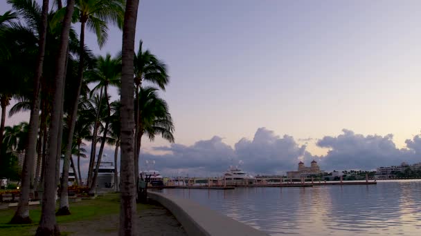 Φοινικόδεντρα Και Αγκυροβολημένα Σκάφη Στη Νότια Φλόριντα Την Αυγή — Αρχείο Βίντεο