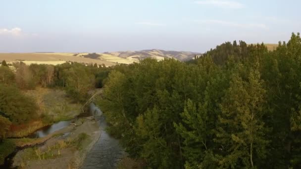 Rising Aerial Reveal Creek Running Forest Eastern Washington — Stock video