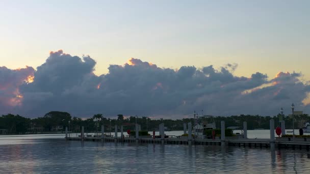 Man Walks Dock Vid Gryningen Södra Florida Usa — Stockvideo