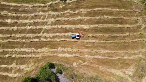 Letecký Pohled Modrý Traktor Lemující Zvířecí Zásoby Připravené Sběru Dron — Stock video