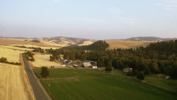 Campos Agrícolas Base Las Montañas Azules Walla Walla Washington — Vídeo de stock