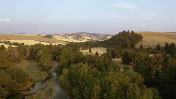 Luftaufnahme Der Wiese Fuße Der Blue Mountains Walla Walla Washington — Stockvideo