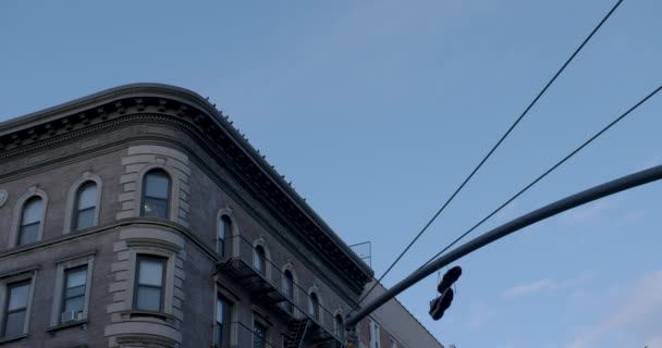 美国纽约市的鸽子晚上降落在屋顶上 — 图库视频影像
