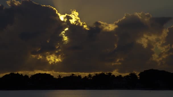 Dramatický Východ Slunce Temnými Mraky Siluetami Stromů Jižní Floridě Usa — Stock video