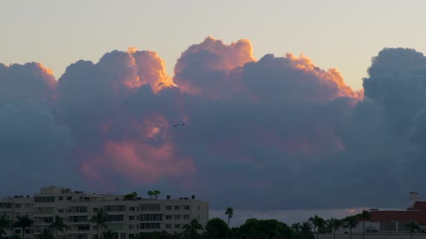 南フロリダの夜明けに過去の活気のある雲を飛ぶ — ストック動画