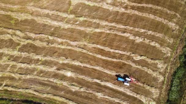 Vista Aérea Tractor Azul Que Recubre Las Provisiones Animales Listos — Vídeos de Stock