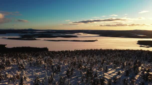 Flygfoto Över Snöiga Träd Gyllene Timme Sjö Bakgrund Lappland Spårning — Stockvideo