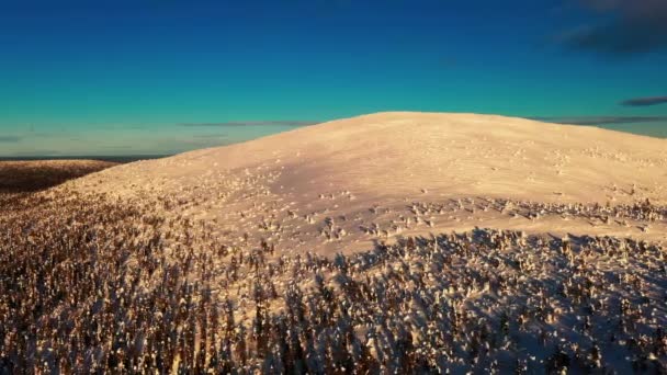 Widok Lotu Ptaka Śnieżny Keimiotunturi Spadł Laponii Śledzenie Strzał Drona — Wideo stockowe