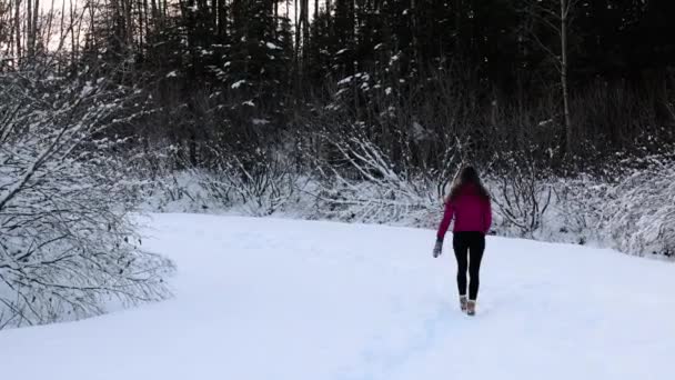 Flicka Som Går Alaska Snön — Stockvideo