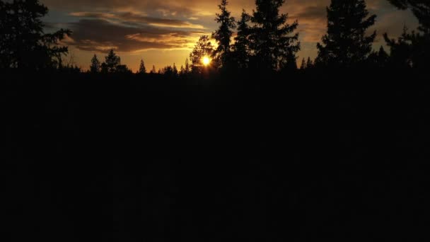 シルエットの木の後ろの空中ビュー 雪の湖 ラップランドの冬の日没を明らかに ドローンショット — ストック動画