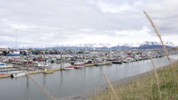 Homer Harber Sous Échantillonné 1080 — Video