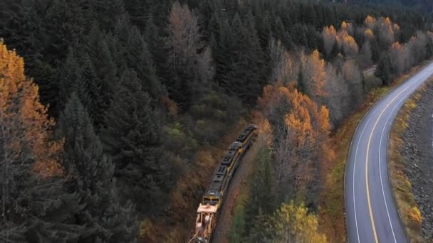 Безпілотних Кадрів Дрона Алясці Восени — стокове відео