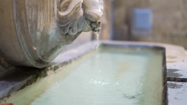 Oude Stoned Water Fontein Met Een Leeuwenhoofd Standbeeld Helder Water — Stockvideo