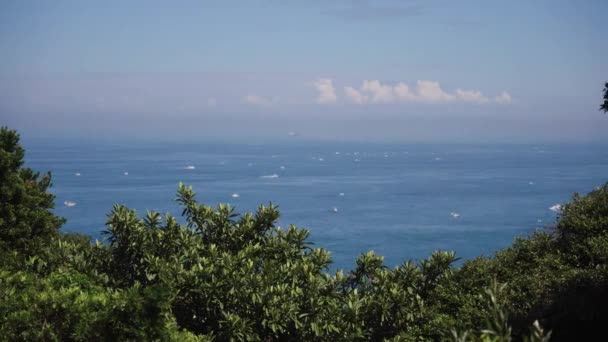 Seto Inland Sea Seen Tomogashima Ζεστή Καλοκαιρινή Μέρα Ιαπωνία — Αρχείο Βίντεο