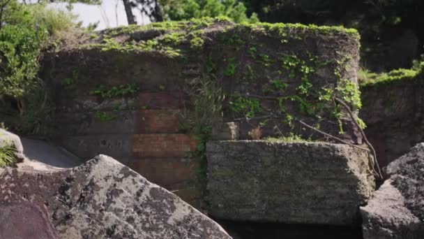 Vignes Recouvrant Les Ruines Forteresse Maritime Sur Île Tomogashima Japon — Video