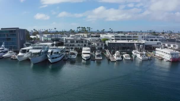 Newport Sahilindeki Balboa Bay Limanında Lüks Yatlar Binalar Drone Hava — Stok video
