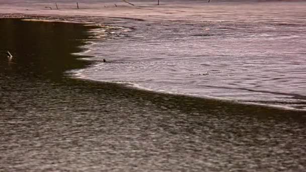 Tiro Lapso Tempo Superfície Fusão Natural Lago Congelado Durante Nascer — Vídeo de Stock