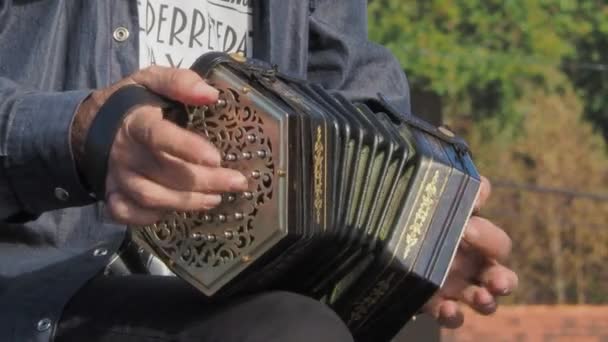 Close-up of musicians hands playing bandoneon, similar to a small accordion, with trees in the background