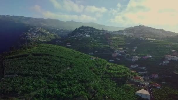 Aerial Moving Beautiful Tropical Mountain Farm Town Madeira Portugal — Stock Video