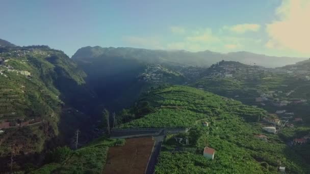 遠くに風光明媚な山々と丘の中腹の農場の上の空中ビュー マデイラPt — ストック動画