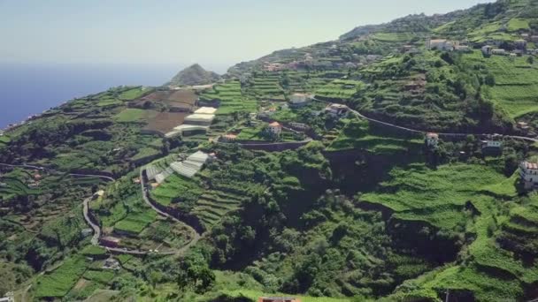 マデイラポルトガルの段々畑農業の丘の上を移動する空中ビュー — ストック動画