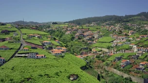 Luchtfoto Beweegt Zich Door Weelderige Berggemeenschap Een Terrasje Berghelling Madeira — Stockvideo