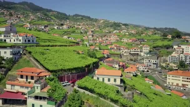 Aerial Moving Lush Hillside Terrace Farming Community Madeira Portugal — Stock Video