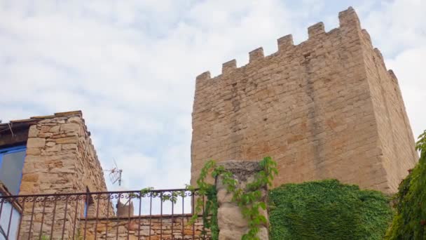 Rovine Una Torre Medievale Europa Vengono Catturate Uno Slider Girato — Video Stock