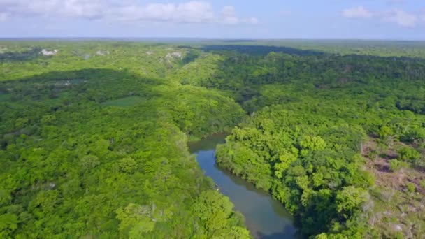 ドミニカ共和国のボカ ユマ近くの鬱蒼とした熱帯雨林を持つリオ ユマの空中 — ストック動画