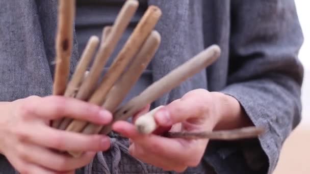 Aangespoelde Houten Stokken Stranden Die Kunnen Worden Gebruikt Voor Het — Stockvideo