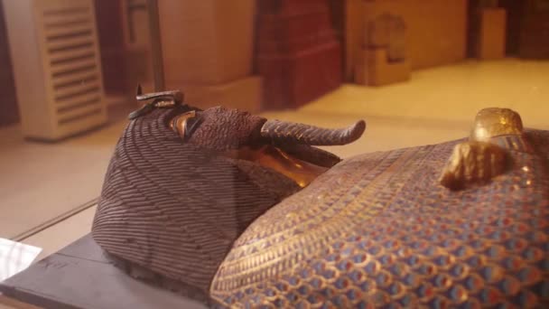 Sarkophag Des Altägyptischen Pharaos Ägyptischen Museum — Stockvideo