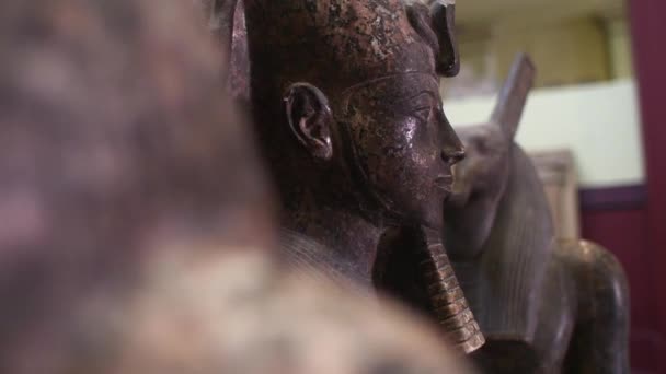 Estátua Faraó Egípcio Antigo Museu Egípcio — Vídeo de Stock