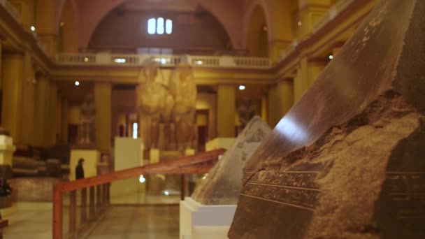 Main Hall Egyptian Museum Cairo — Stock Video