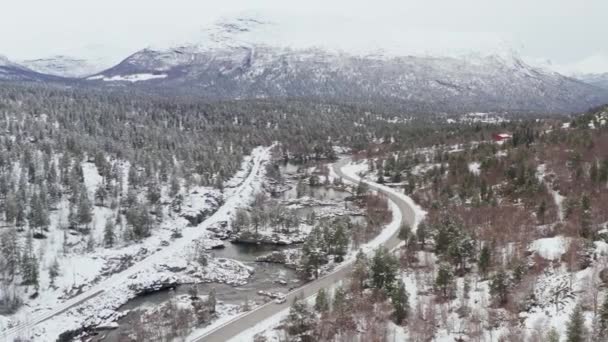 Vista Aérea Dos Veículos Que Dirigem Através Montanha Floresta Nevadas — Vídeo de Stock