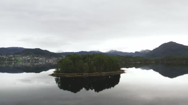 Norveç Doğasındaki Bir Gölün Ortasındaki Küçük Yeşil Orman Adası Hava — Stok video