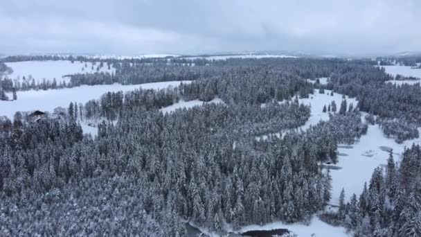 Överflygning Området Runt Etang Gruere Det Snöiga Vinterlandskapet Schweiz Över — Stockvideo