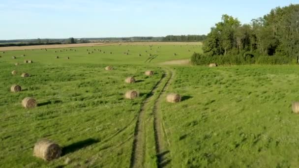 フィールド上の田舎道 干し草の山の間の重機からトラック — ストック動画