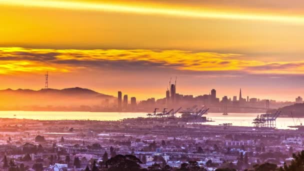 夕暮れ時にサンフランシスコの街並みや港の上空を雲のように通過します — ストック動画
