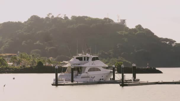 Yate Atracado Muelle Del Amador Ciudad Panamá Centroamérica — Vídeos de Stock