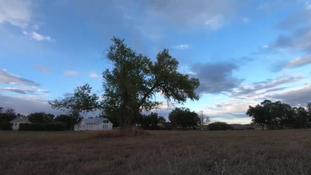 Timelapse 日中に雲が頭の上を高速で移動する背景に教会とフィールドの真ん中に1本の大きな木 — ストック動画