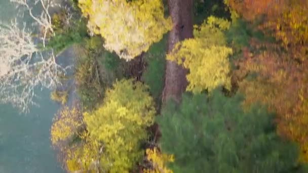Tepeden Aşağı Çift Nehir Kıyısında Yürüyor Sonbahar Ağaçlarıyla Çevrili — Stok video