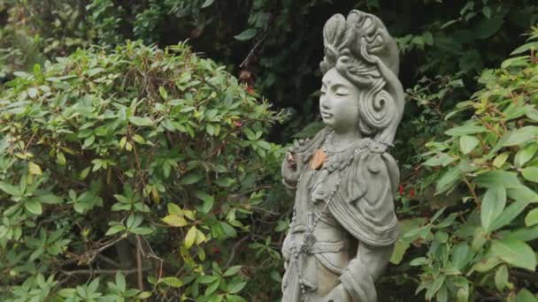 Todavía Tiro Estatua Budista Divinidad Compasión — Vídeo de stock