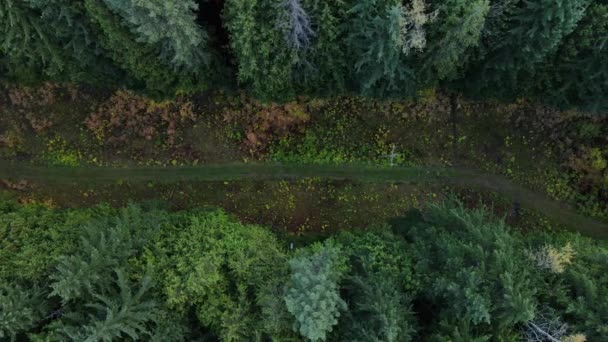 用电线从上面穿过茂密的北方森林 在4K的高空俯瞰 不列颠哥伦比亚省纳尔逊市秋季自然景观的无人机画面 — 图库视频影像
