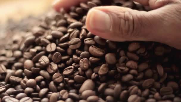 geröstete braune Kaffeebohnen in einem Haufenlager -Video