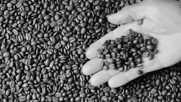 ハンドストックビデオ付きのヒープ内のローストブラウンコーヒー豆 — ストック動画