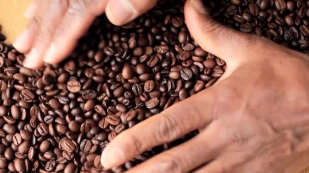 Biji Kopi Panggang Coklat Dalam Tumpukan Dengan Video Stok Tangan — Stok Video